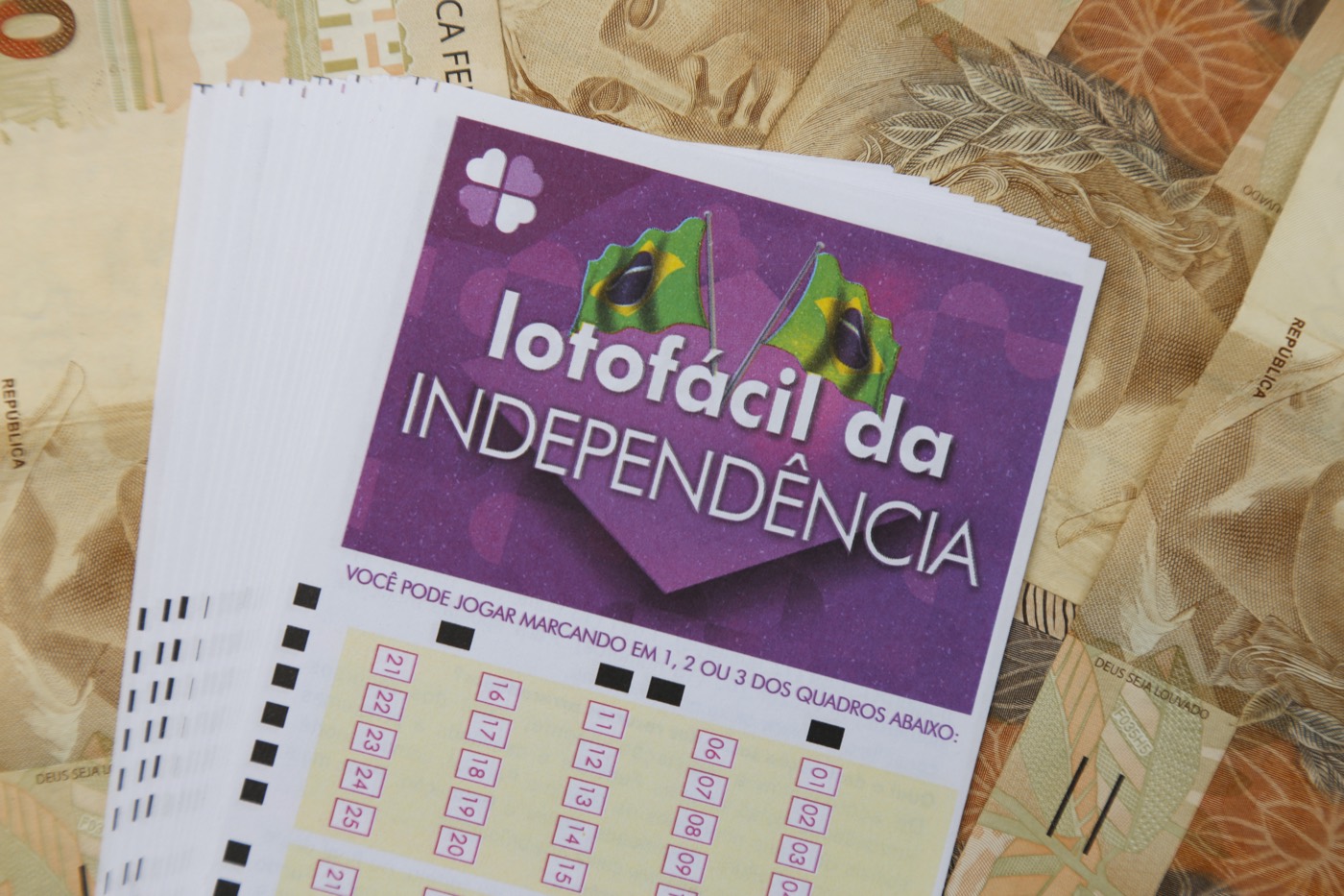Lotofácil